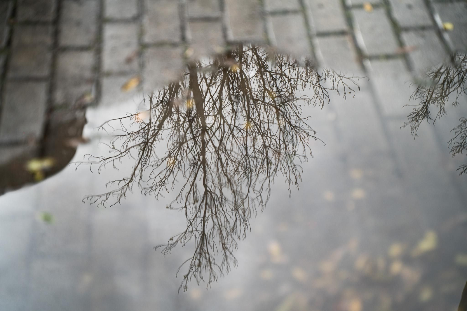 Imágenes del viernes 4 de abril en Huelva