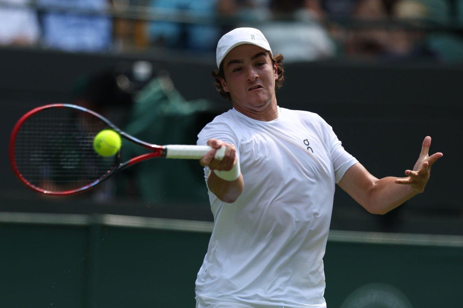 La primera jornada de Wimbledon (66).jpg