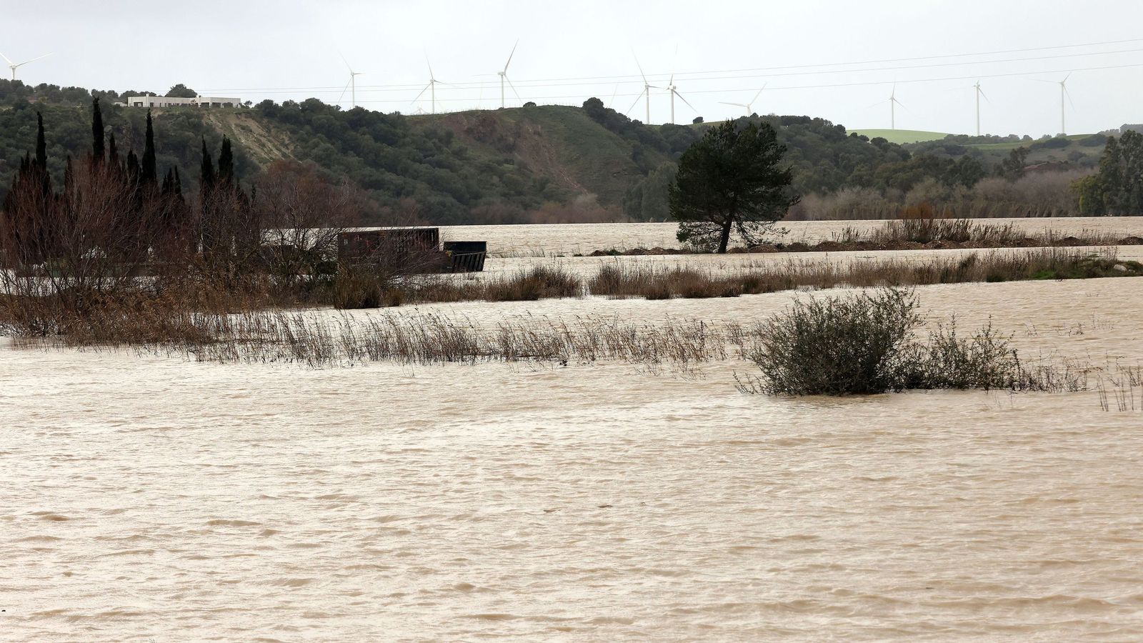 Así afronta la zona rural de Jerez la subida del río Guadalete