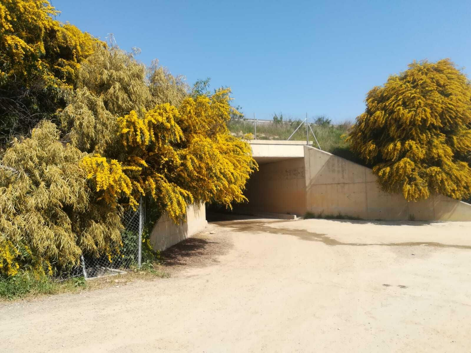 La ruta del Río Pudio por Espartinas, en imágenes