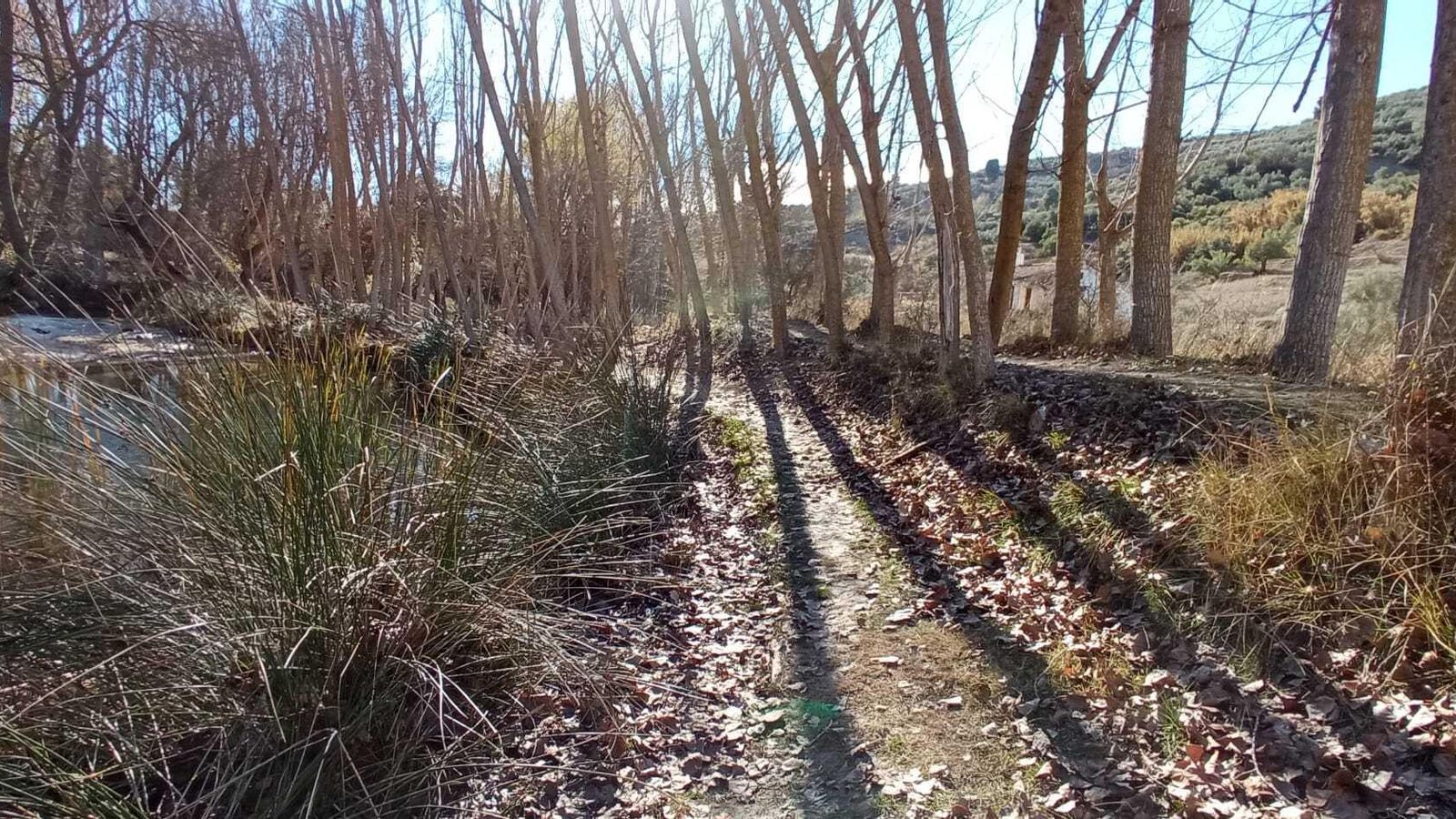 Las imágenes de la ruta del Bosque Encantado de Higueras