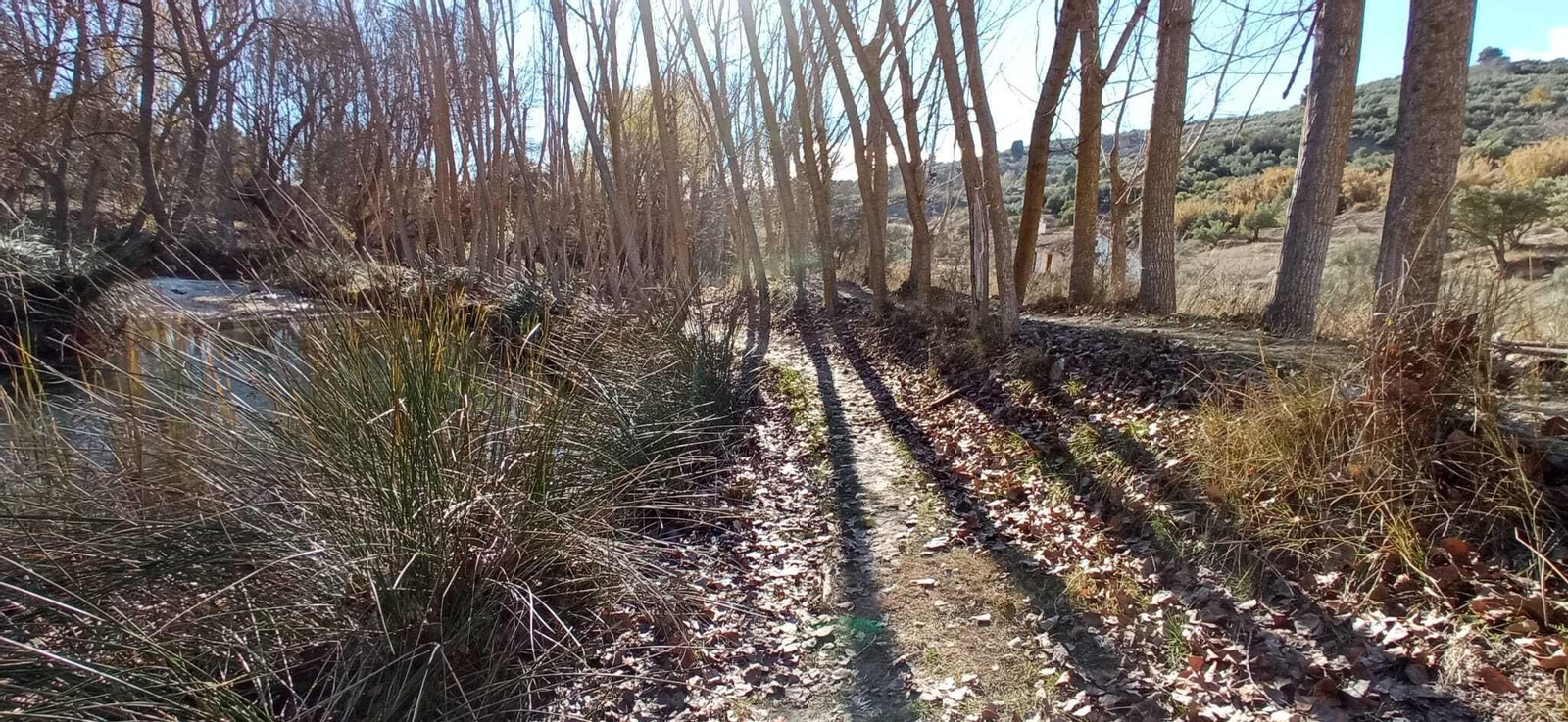 Las imágenes de la ruta del Bosque Encantado de Higueras