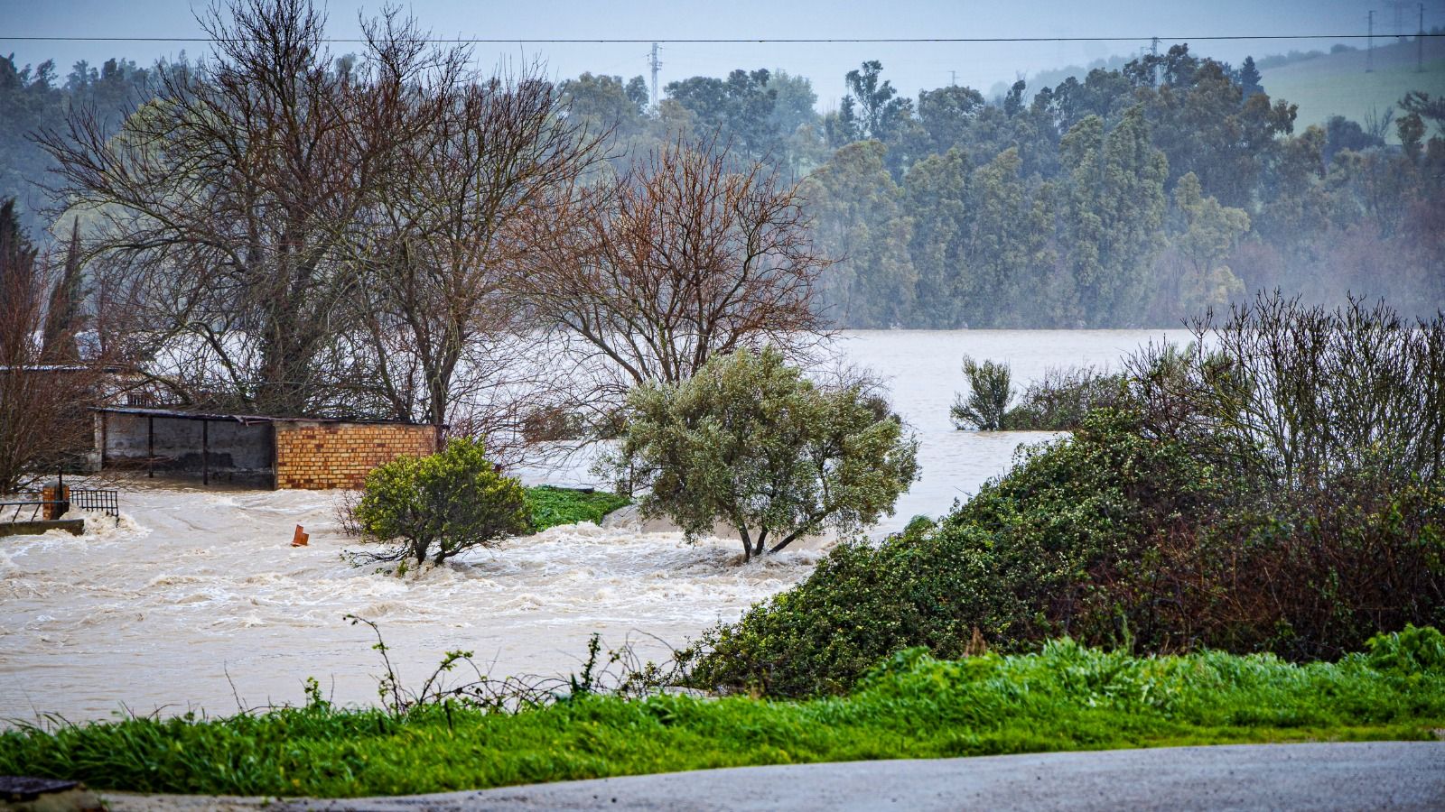 La crecida del Guadalete a su paso por La Pedrosa.