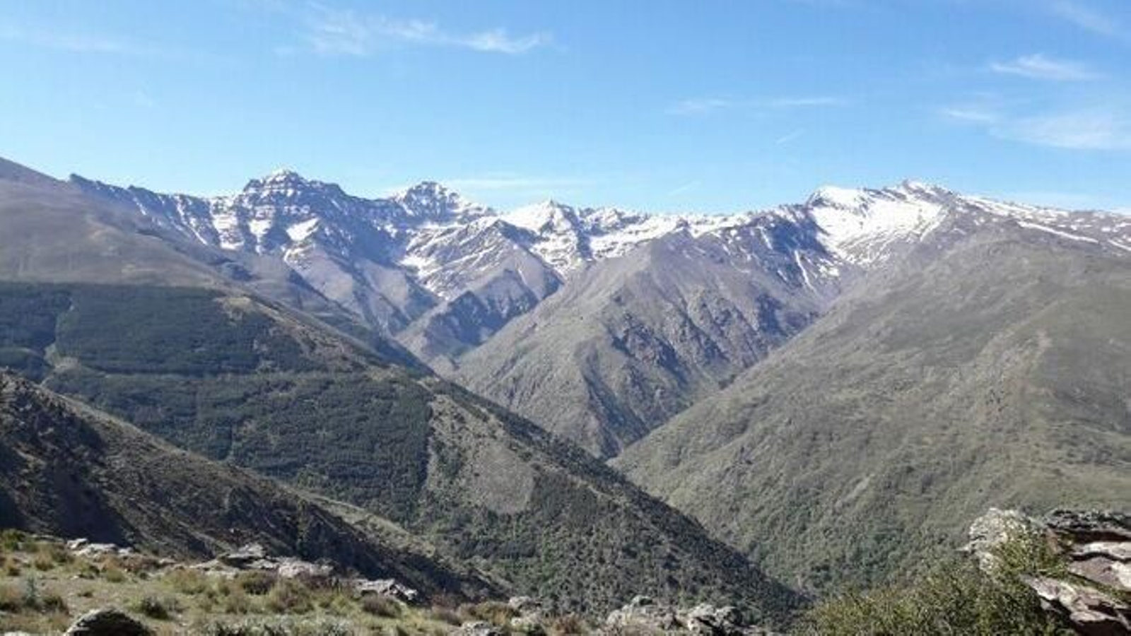 Vista de la Dehesa del Calvario y los Lavaderos de la Reina