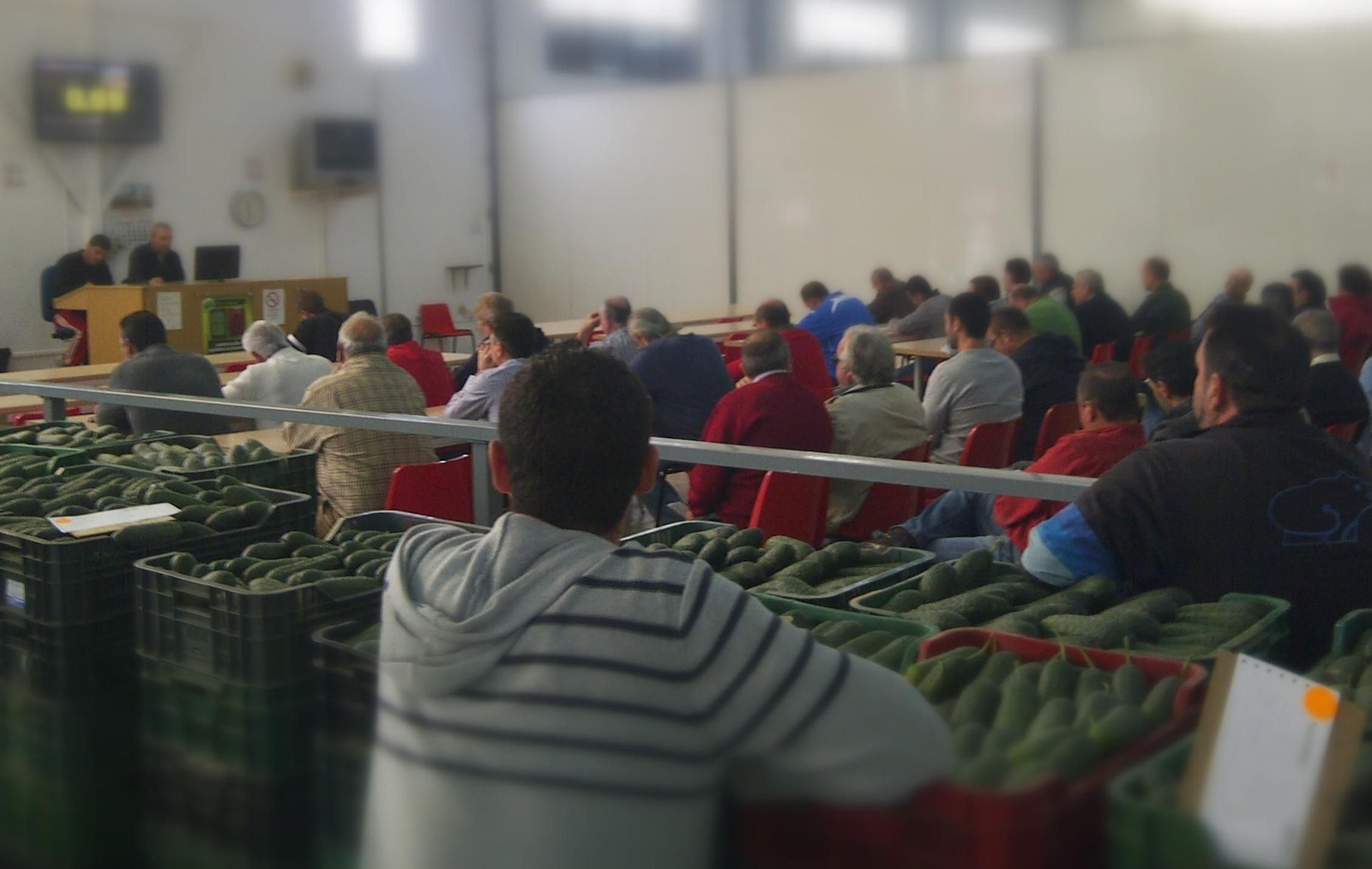 Imagen de archivo de una subasta de Agrupaejido