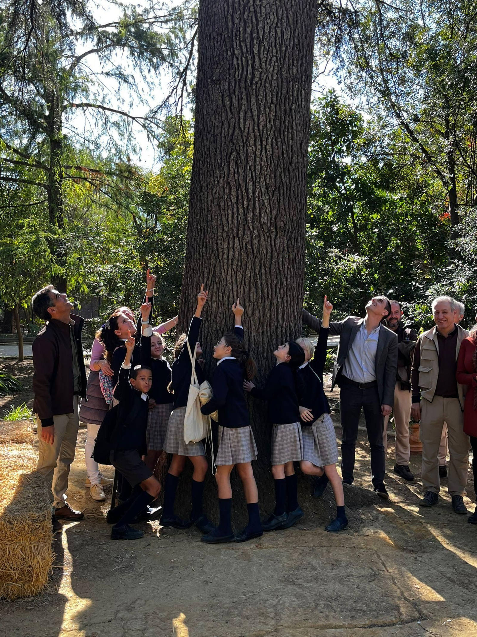 Jaime Espinar junto al cedro, acompañado de responsables del Zoo y escolares.