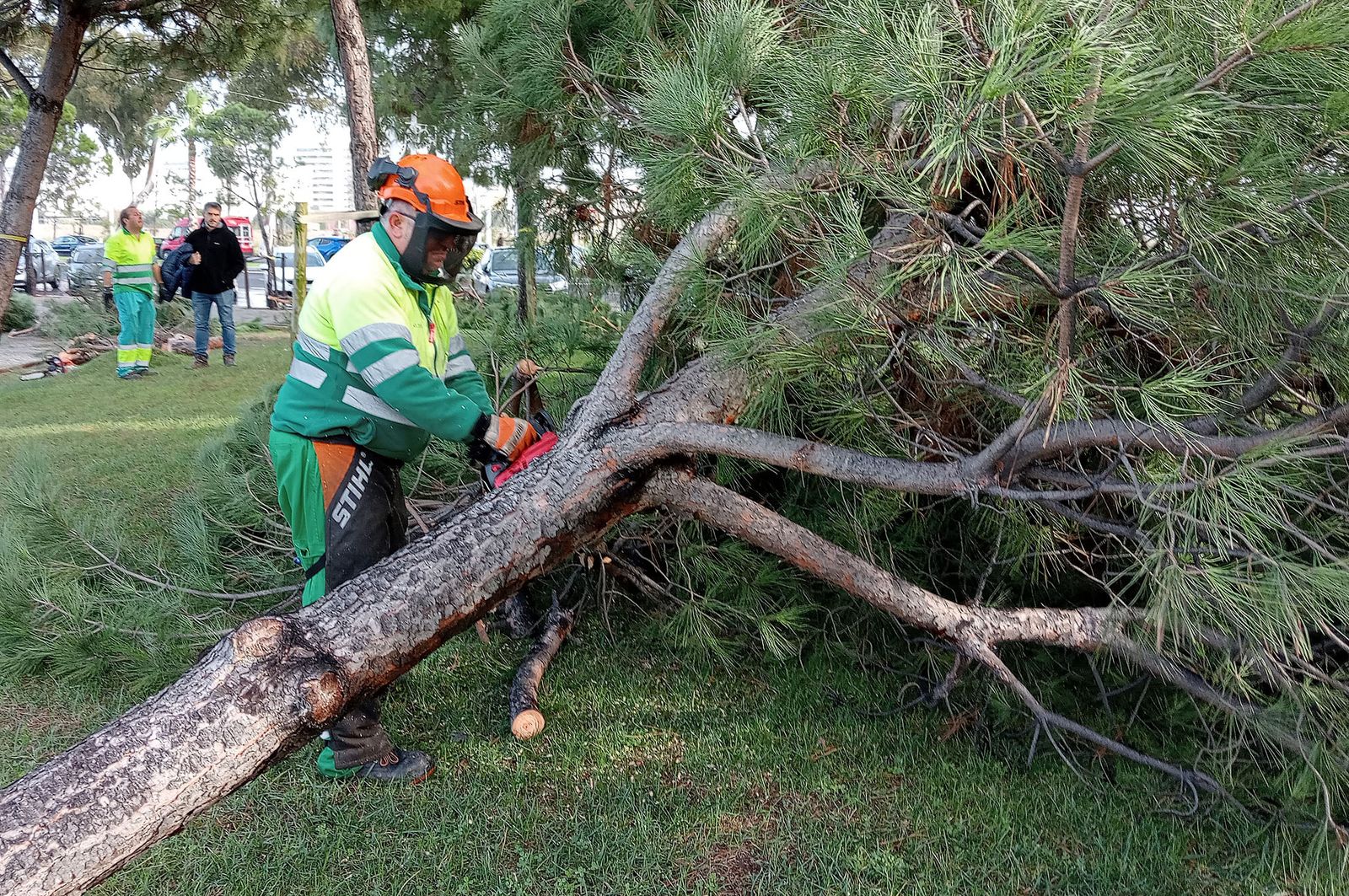Imágenes del domingo 11 de diciembre en Huelva