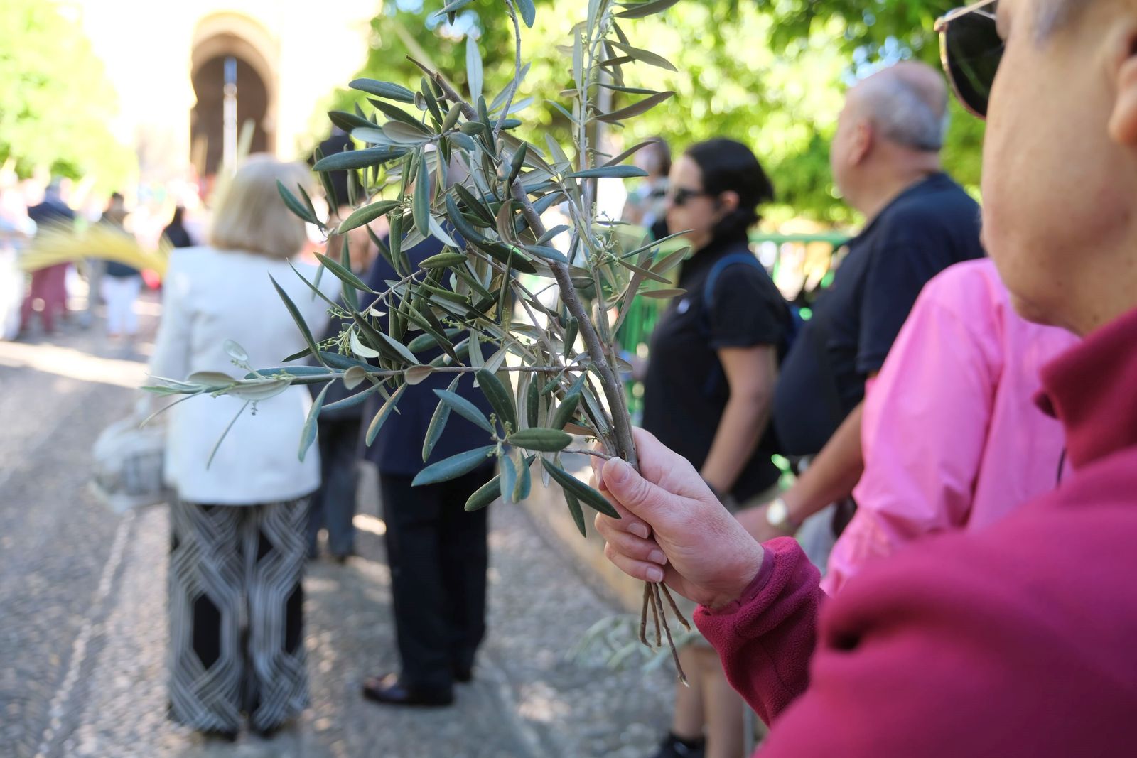 Domingo de Ramos en Córdoba 2023: la misa de la bendición de las palmas en la Catedral, en imágenes