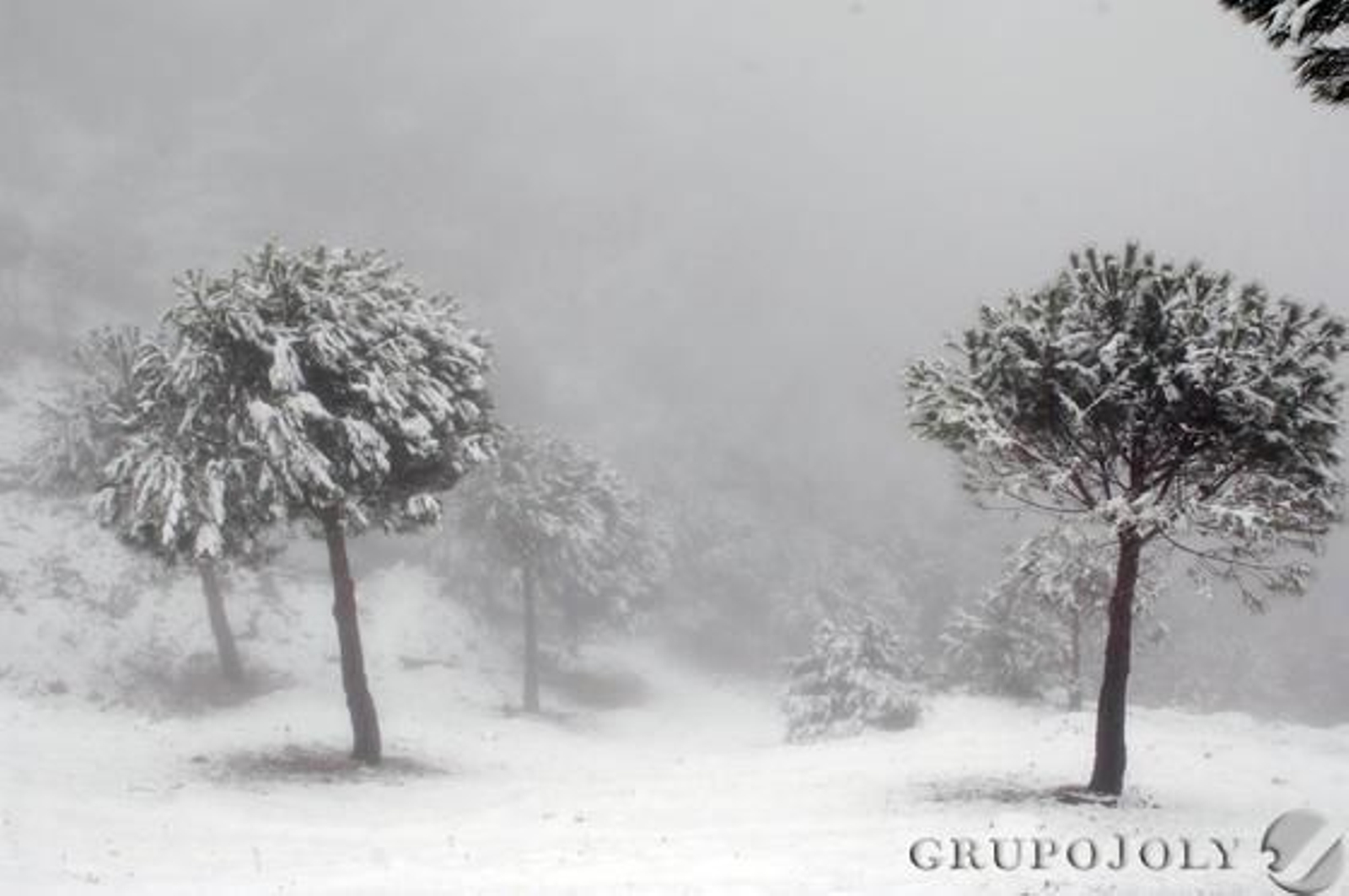 Foto: Ramón Aguilar