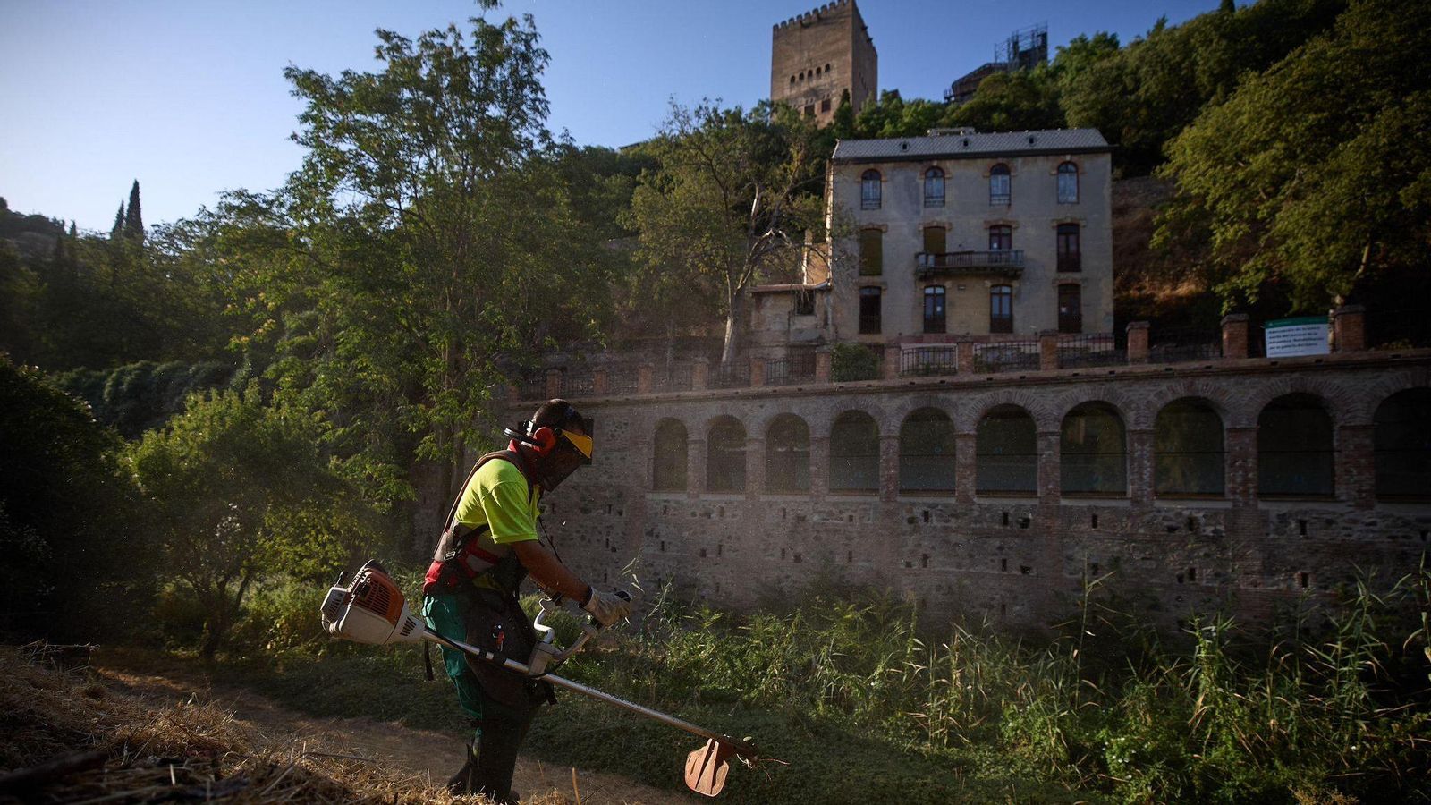 Trabajos de desbroce en el río Darro en Granada