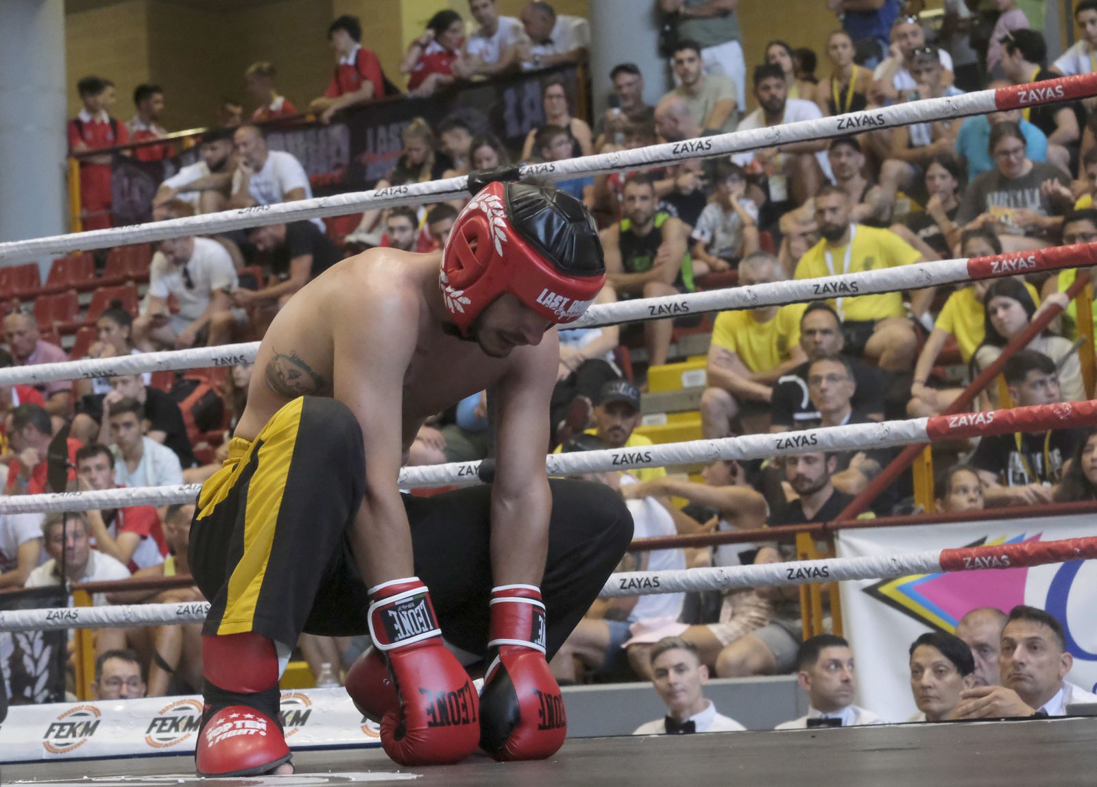 Córdoba disfruta del Campeonato de España de kick boxing, en imágenes