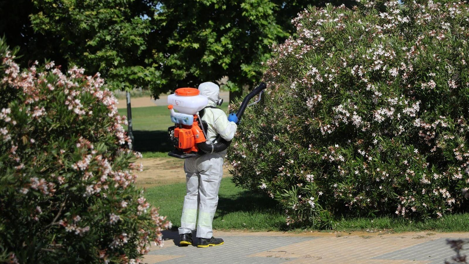 Un operario realiza labores de fumigación y tratamiento de imbornales contra el mosquito para prevenir el Virus del Nilo. Un operario realiza labores de fumigación y tratamiento de imbornales contra el mosquito para prevenir el Virus del Nilo.
