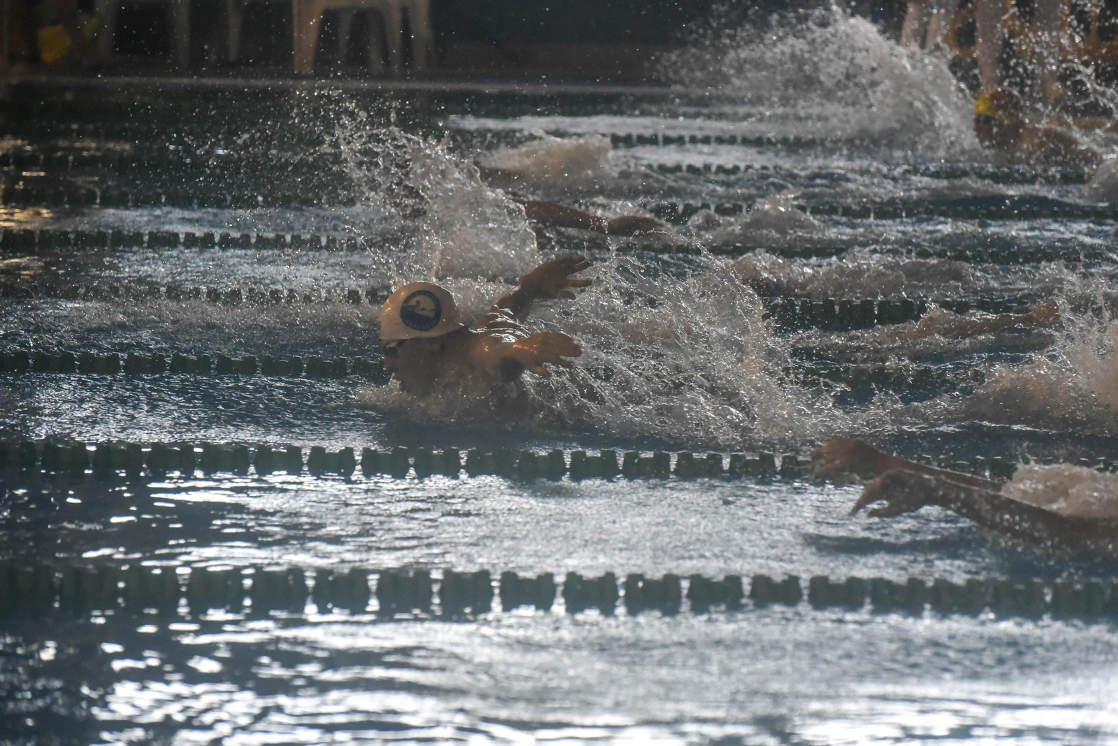 Las fotos del IV Trofeo de natacion Campo de Gibraltar en Los Barrios