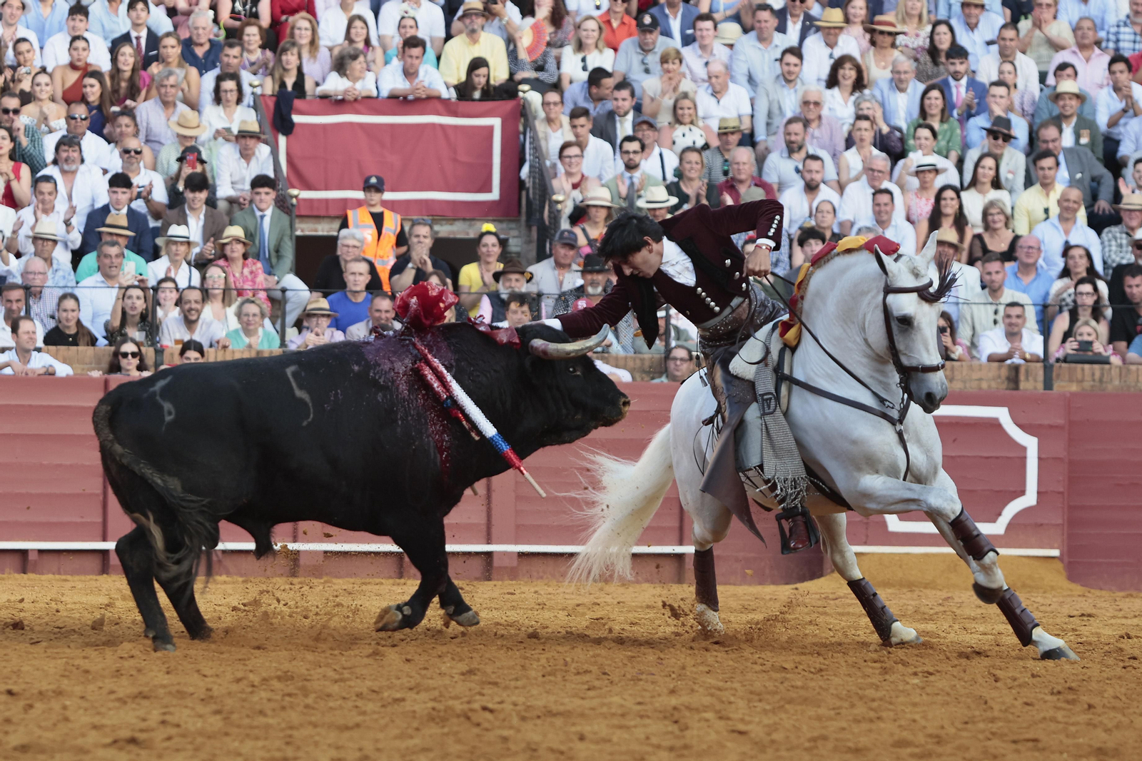 Las imágenes de la corrida de rejones