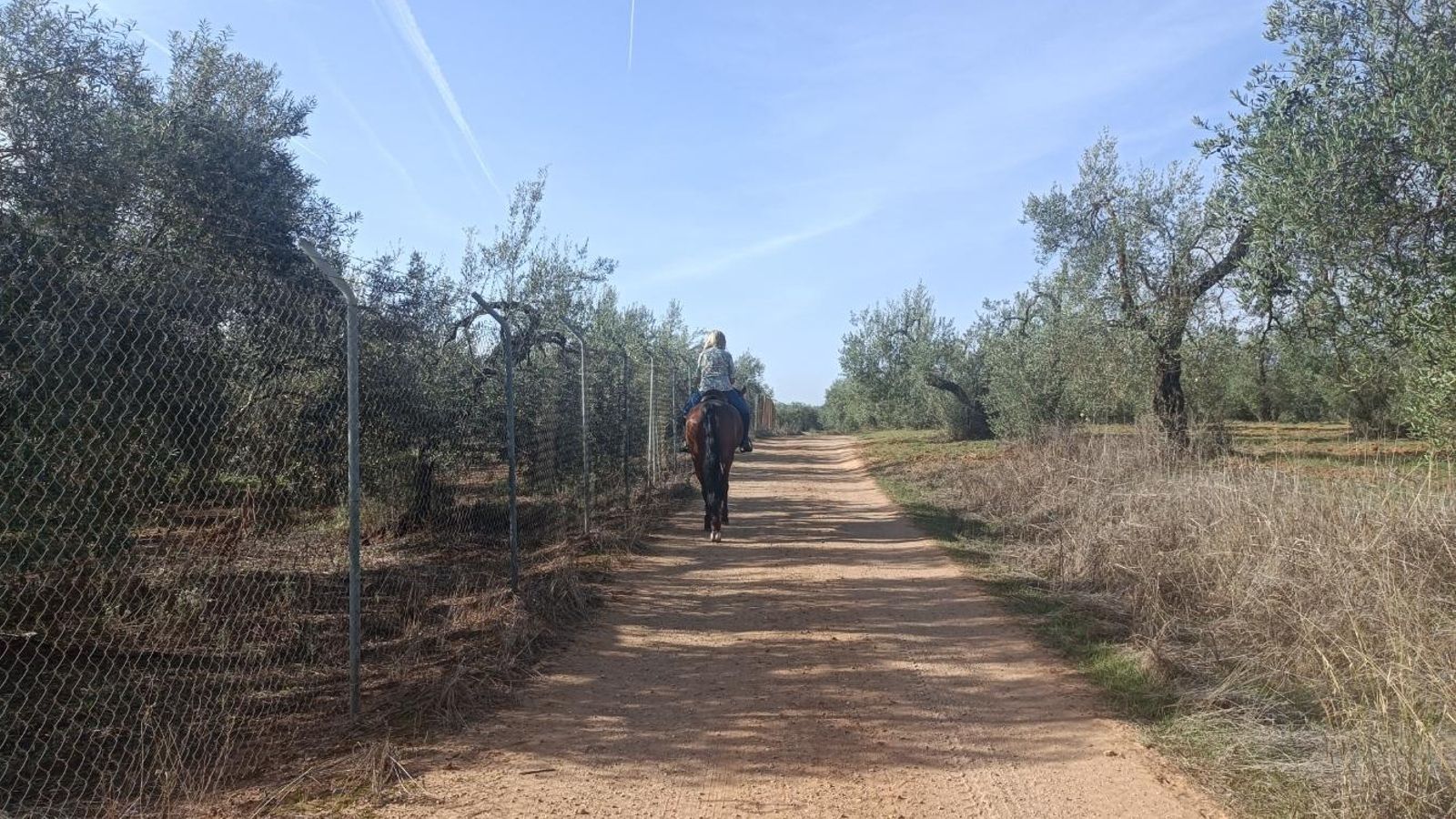 El retorno va casi siempre entre olivares. El retorno va casi siempre entre olivares.