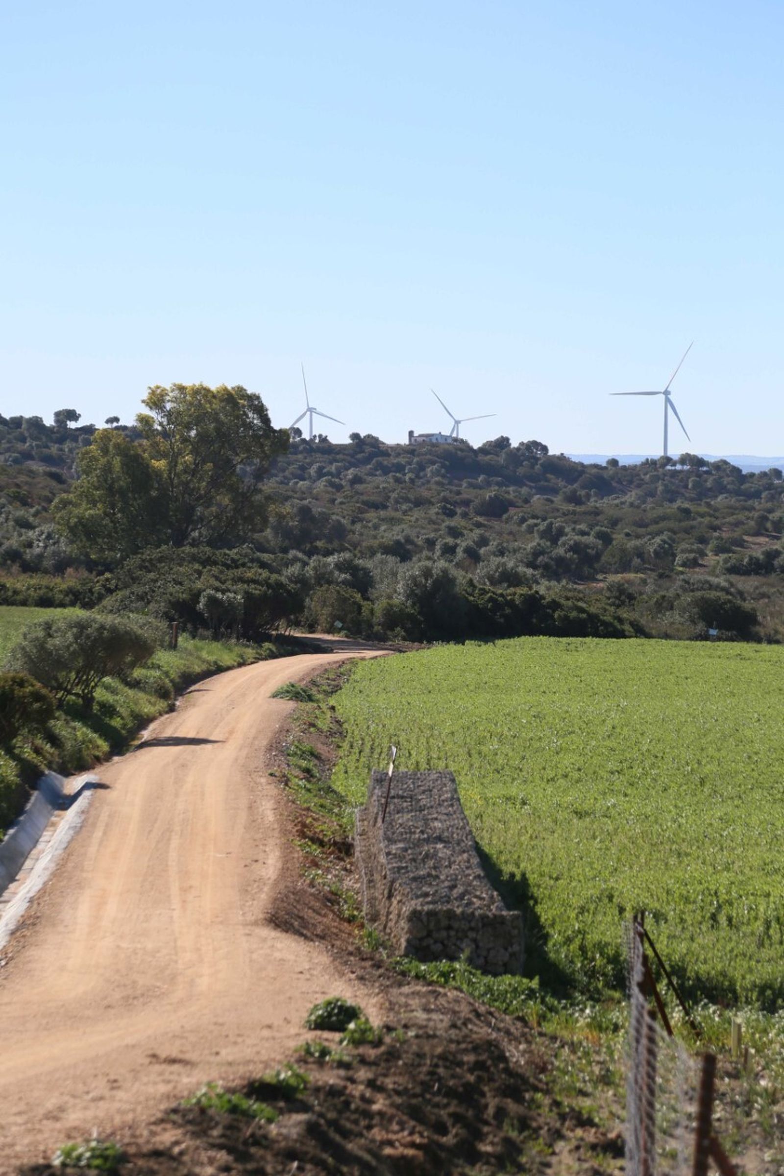 La actuación se desarrollará en las inmediaciones de la Laguna de Jeli.