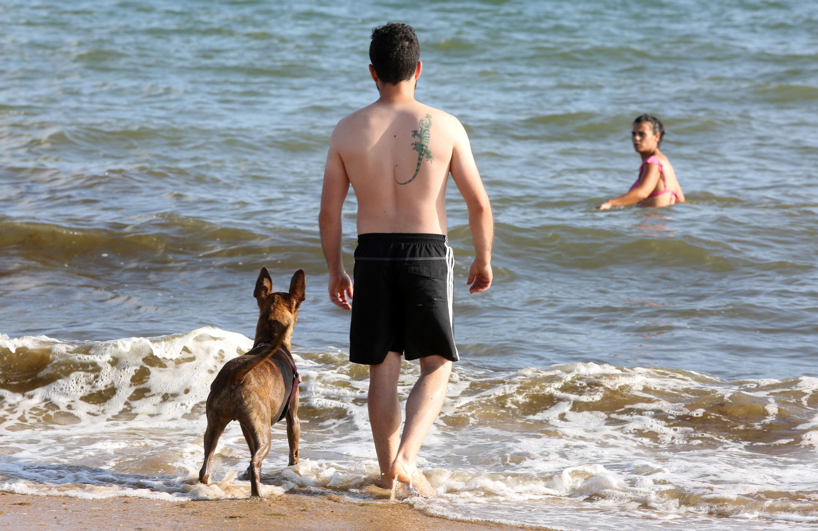 Las imágenes de la Playa del Espigón