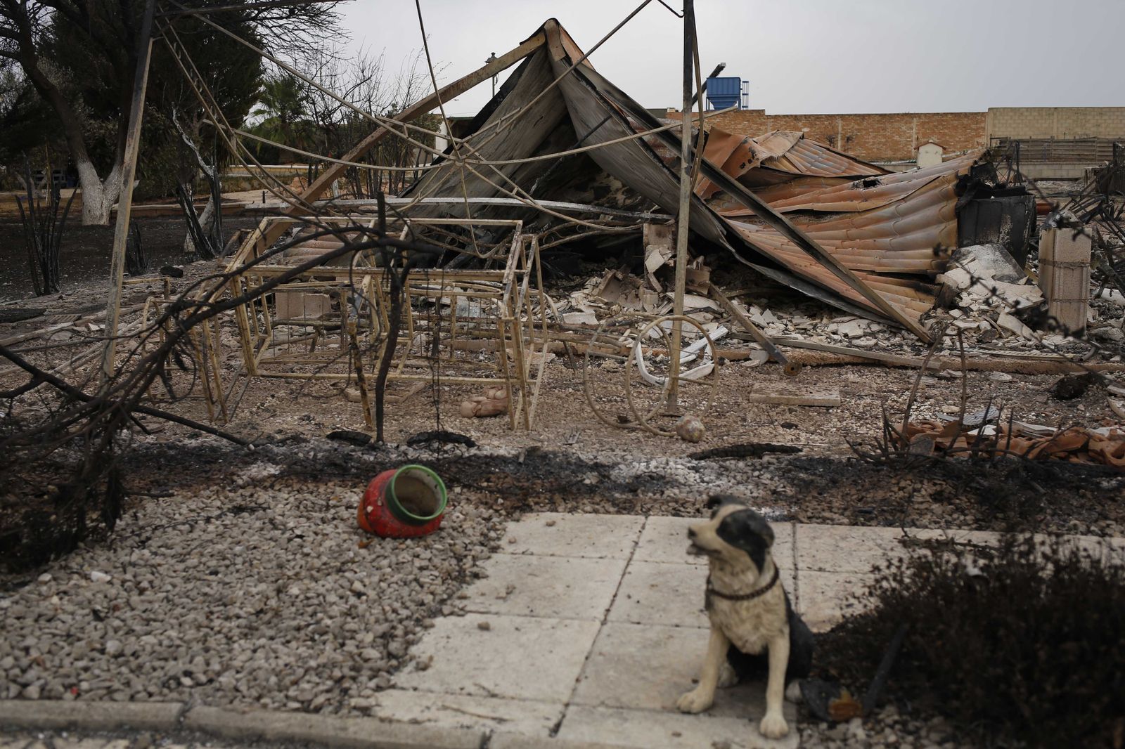 Las fotos del camping de Mollina, arrasado por el incendio