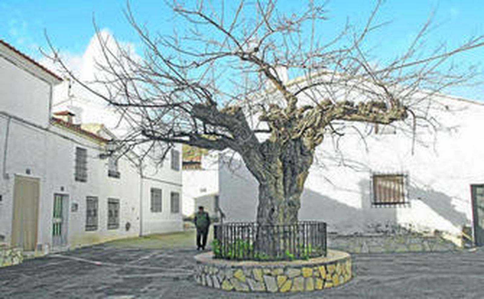 Benitagla es una localidad pequeña y eminentemente agrícola.