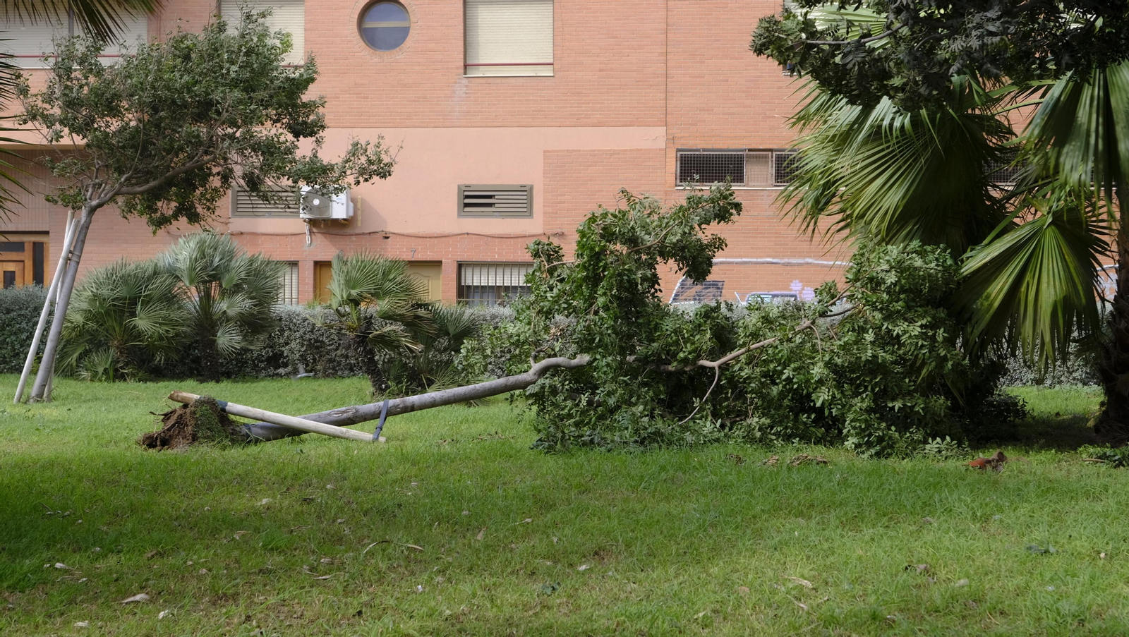 Imágenes del temporal de viento en Almería