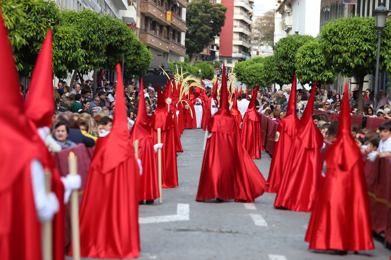 Imágenes del recorrido de la Borriquita  por las calles de Huelva