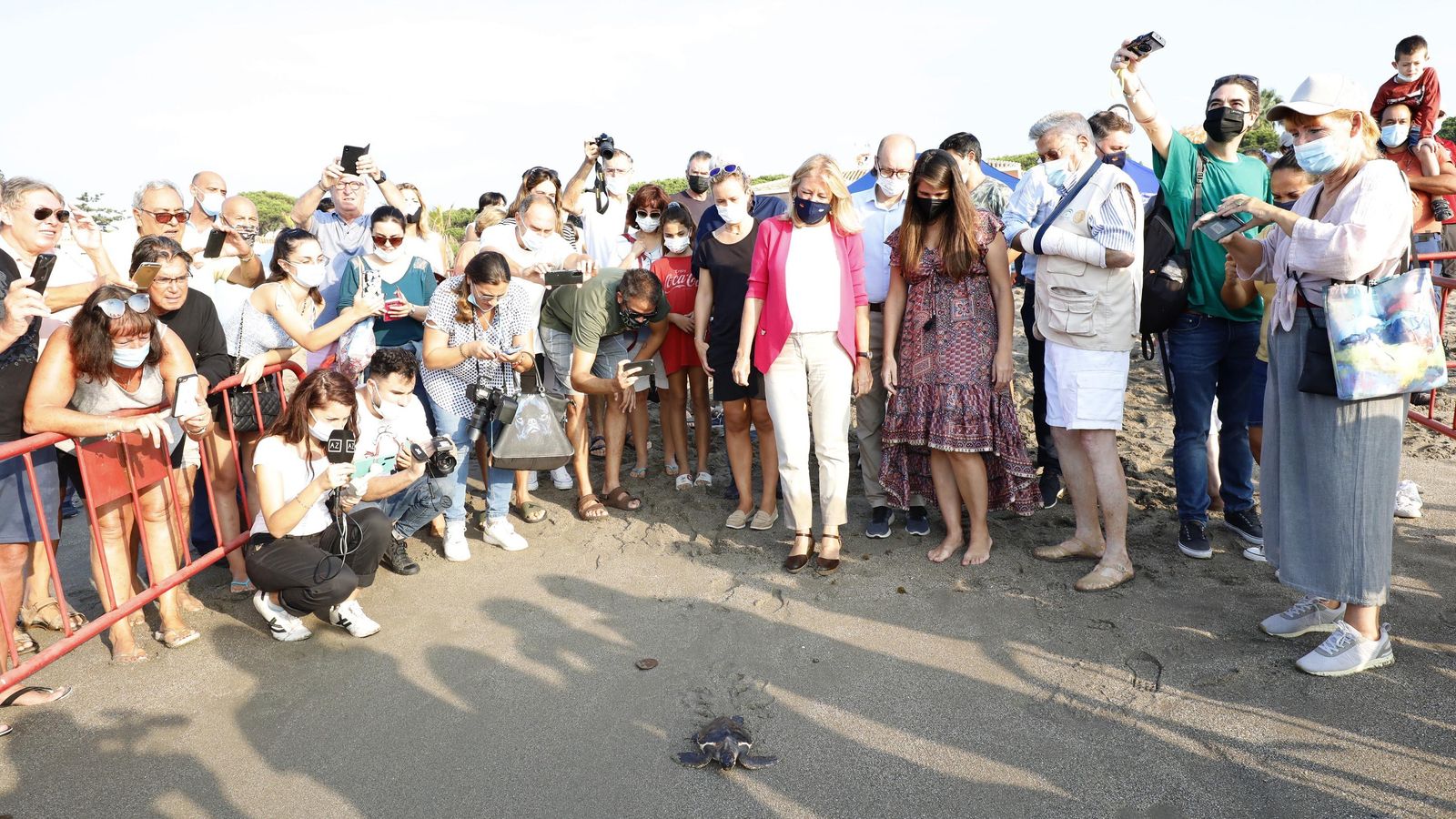 Una de las tortugas camina hacia el mar, en la playa de Cabopino de Marbella. Una de las tortugas camina hacia el mar, en la playa de Cabopino de Marbella.