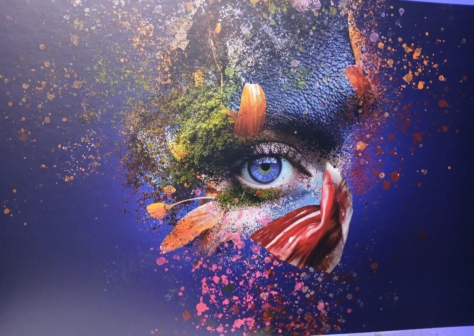 La nueva imagen de las cajas de Cinco Jotas