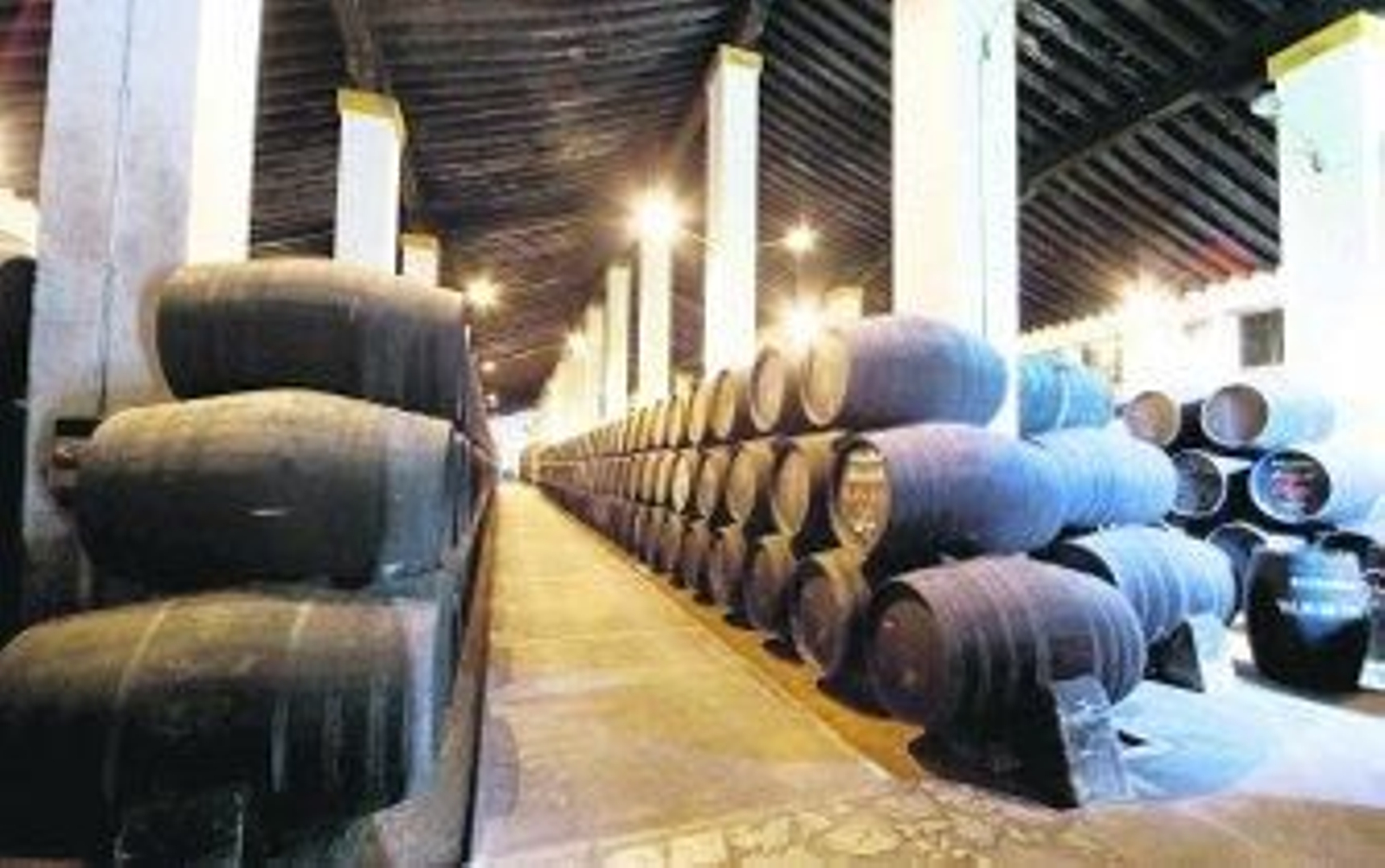 Fedejerez pone veto al fino de los dominios de la manzanilla