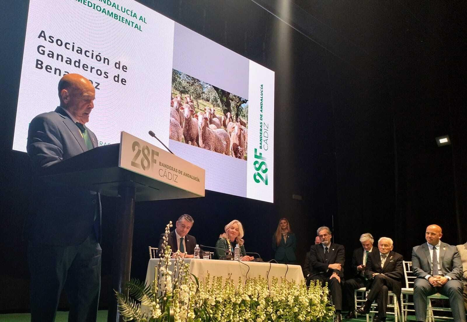 Entrega de las Banderas de Andalucía