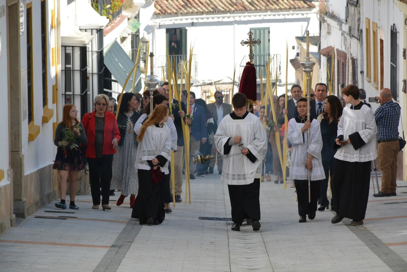 Una procesión de Domingo de Ramos con palmas y olivos en San Roque.