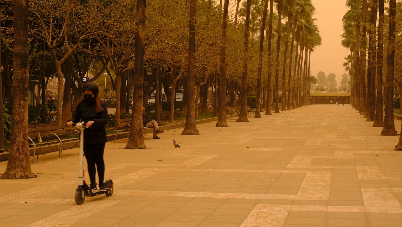 Fotogalería de la tormenta de arena y polvo en Almería