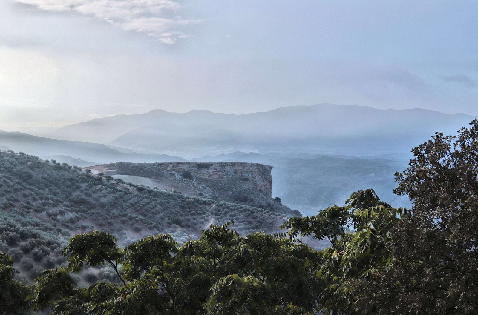 Los cuatro pioneros de La Villavieja