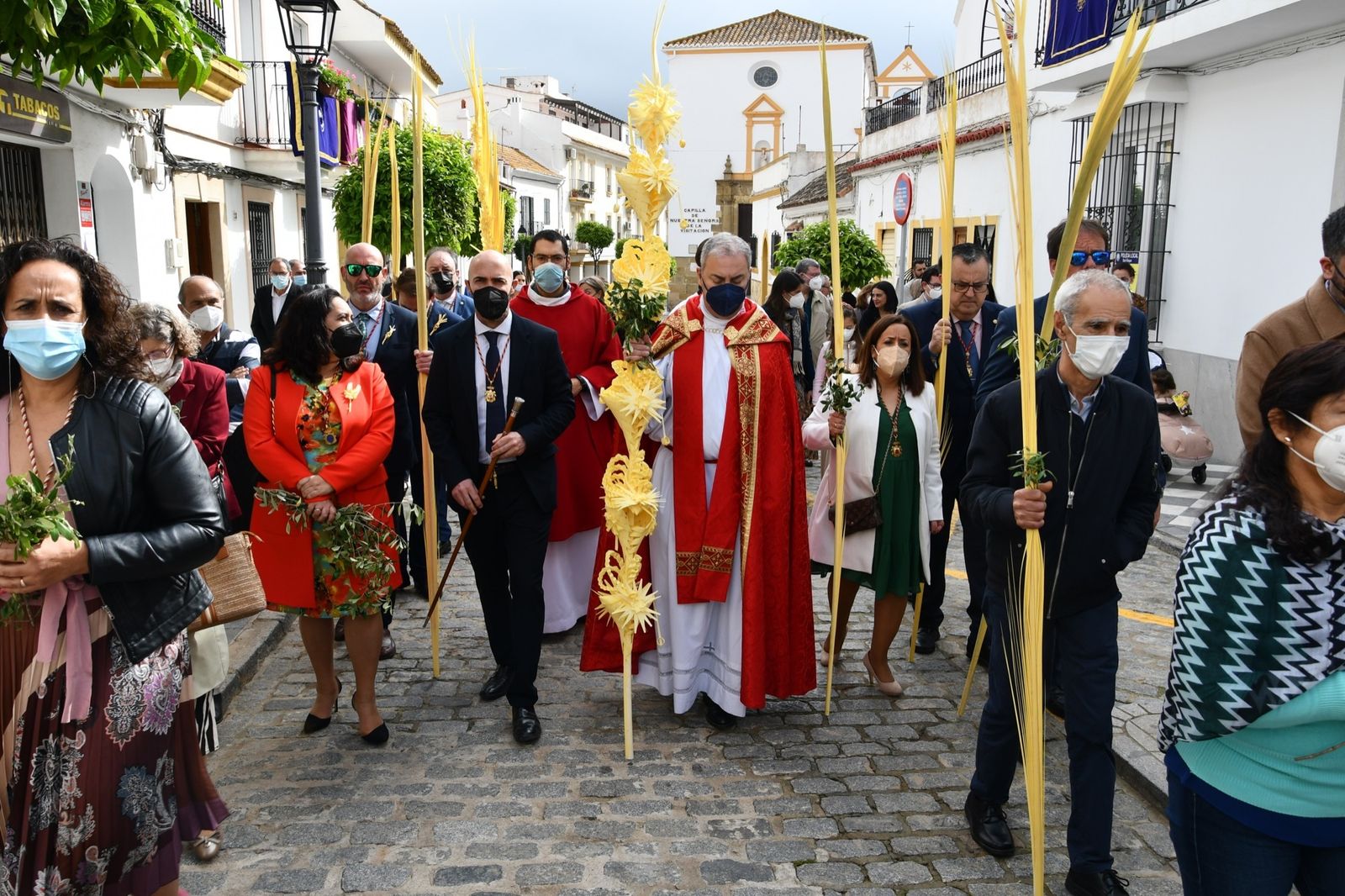 Las fotos del domingo de palmas y olivos en San Roque