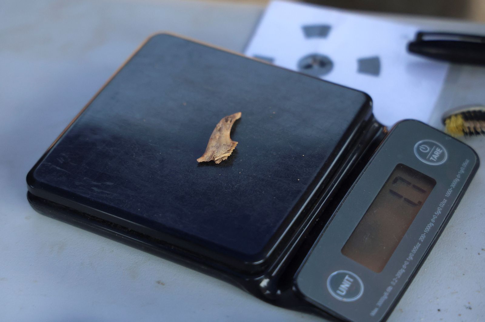 La excavación arqueológica de Cerro del Villar, en imágenes