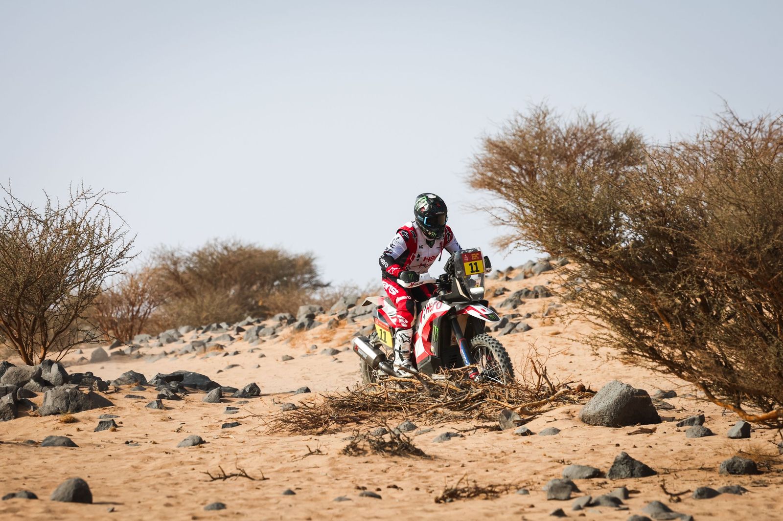 Las mejores fotos del Rally Dakar | undécima etapa