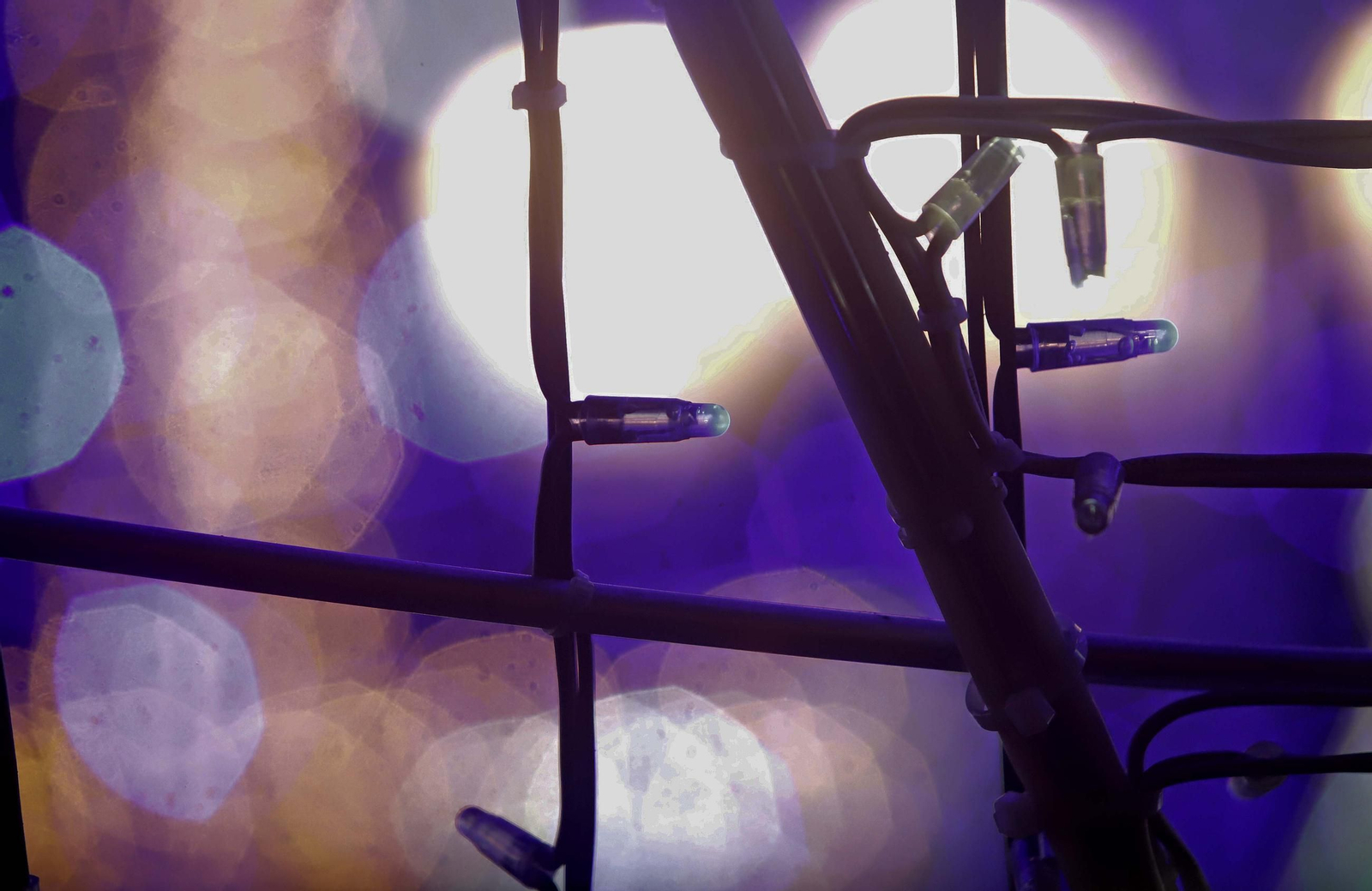 Fotos del encendido del alumbrado navideño en Algeciras