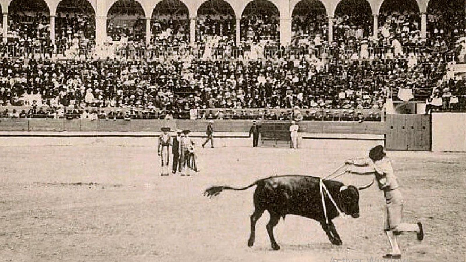 Suerte de banderillas en el transcurso de una corrida de toros celebrada en la plaza de toros La Perseverancia a principios del siglo XX. Suerte de banderillas en el transcurso de una corrida de toros celebrada en la plaza de toros La Perseverancia a principios del siglo XX.