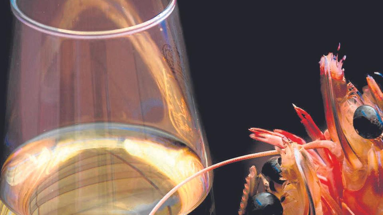 Manzanilla de Sanlúcar.