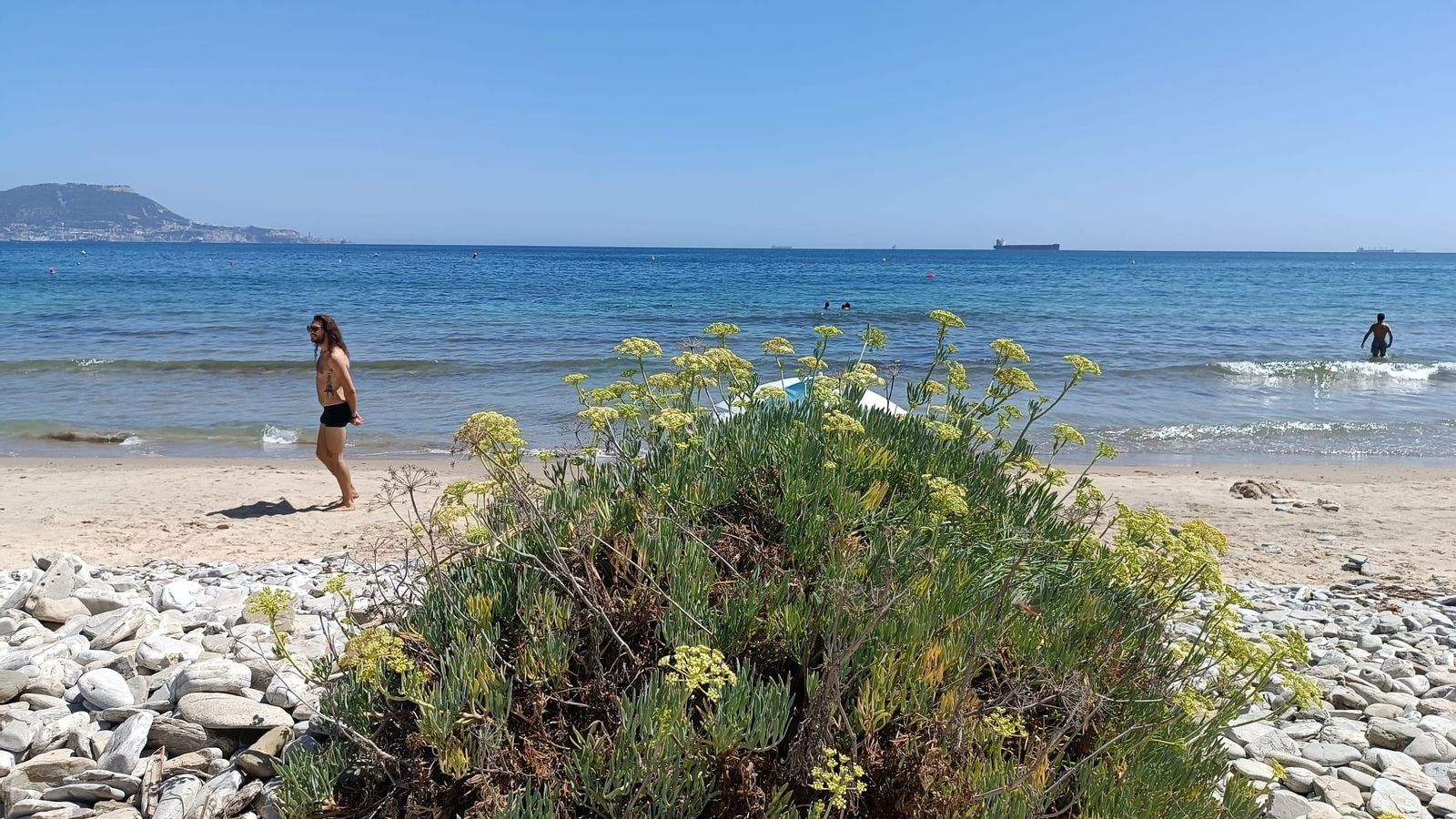 Los mejores días para ir a la playa de Getares de Algeciras Los mejores días para ir a la playa de Getares de Algeciras