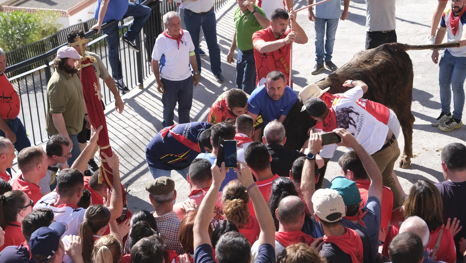 Imágenes de los toros ensogaos y San Marcos, en las Fiestas de Ohanes