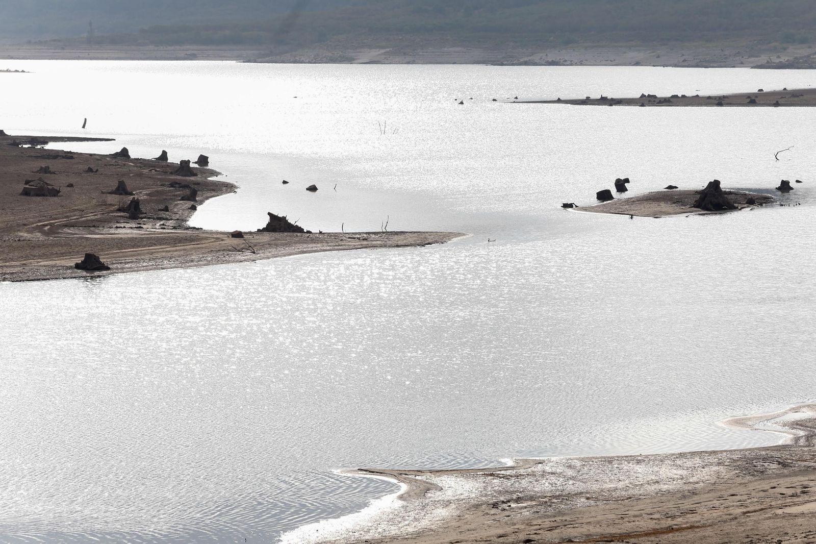 Fotos del estado del pantano de Charco Redondo en Los Barrios