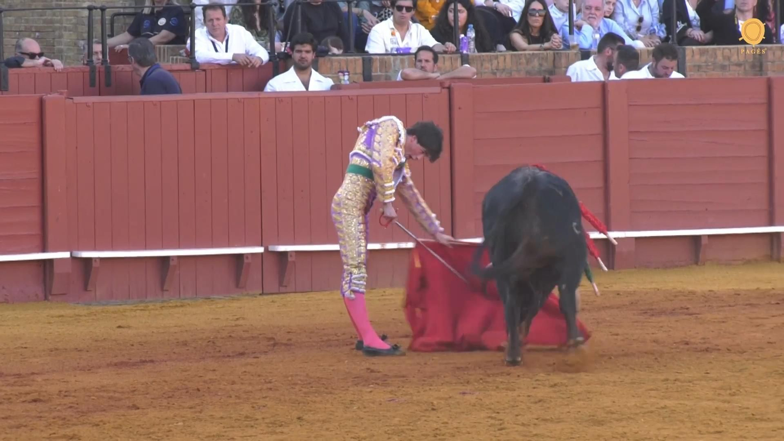 Vídeo resumen de la novillada de abono