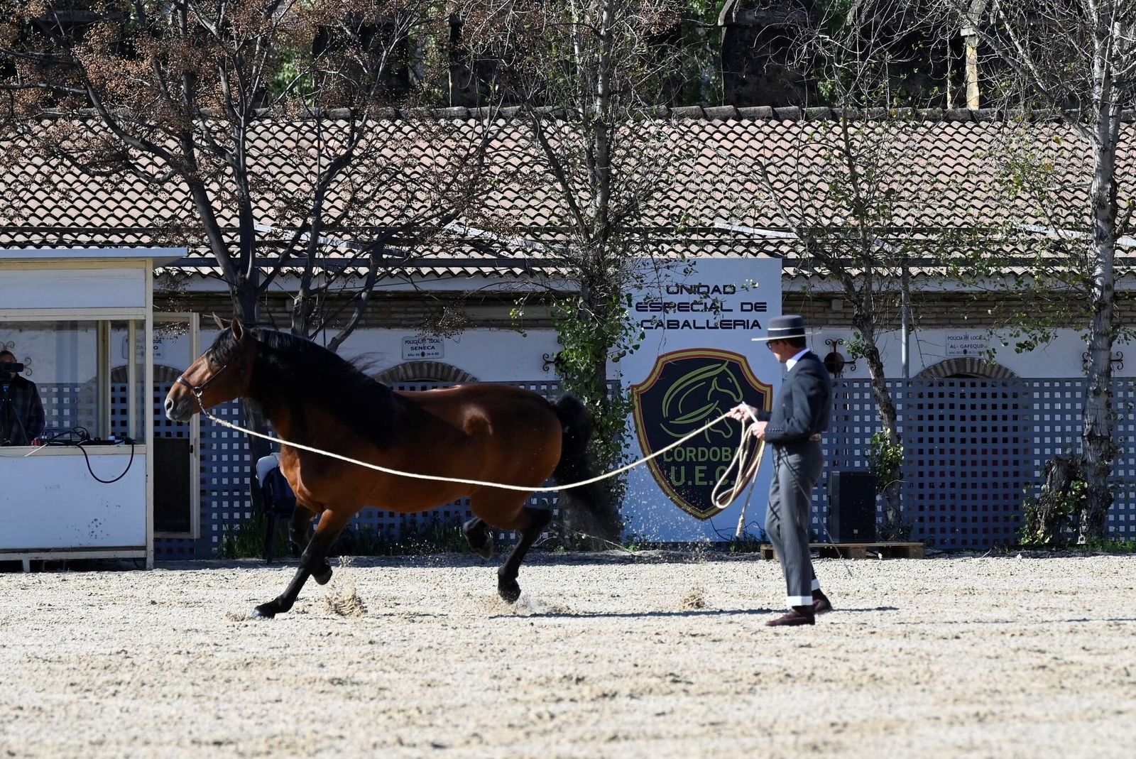 La Presentación de Sementales PRE 2026 en Córdoba, en imágenes