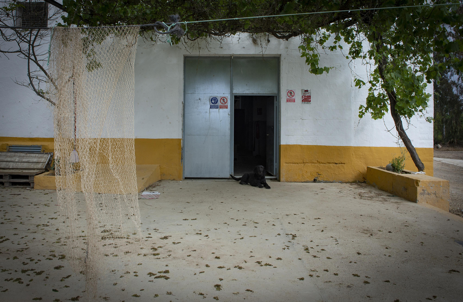Travesía en barco por el Guadalquivir