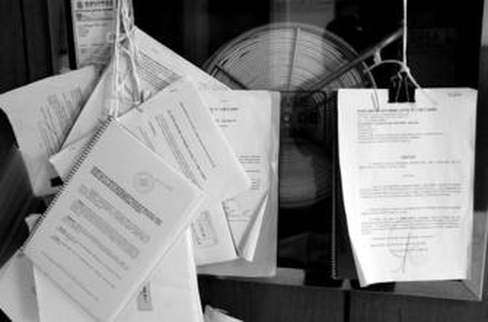 Decenas de asuntos pueden verse en los tablones de la puerta de entrada del juzgado.