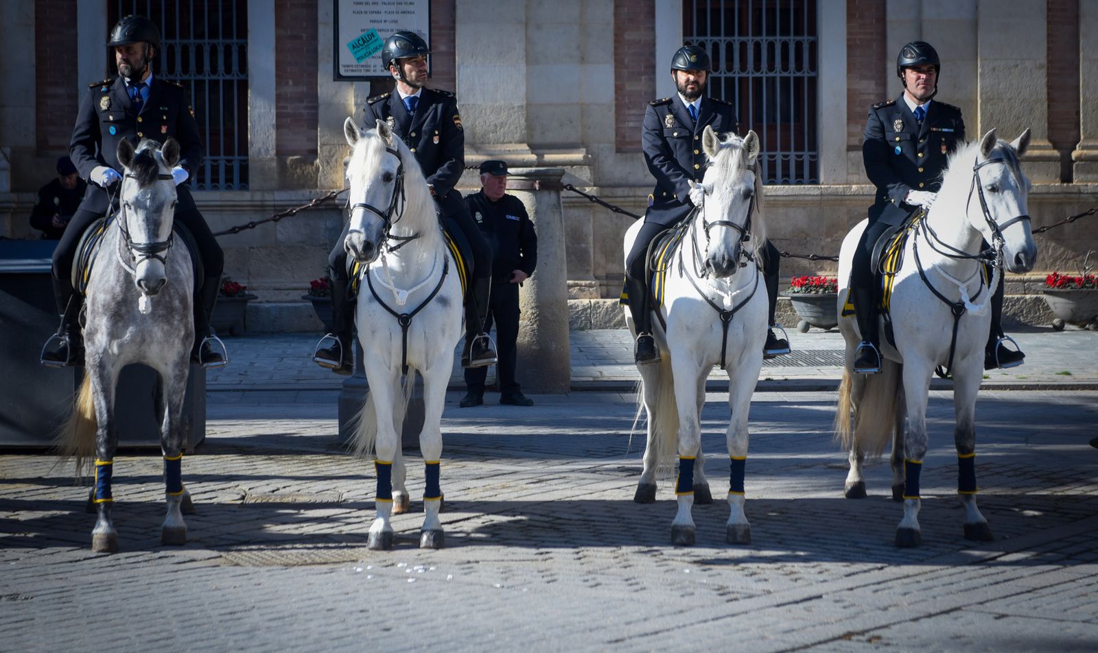 Caballería y guías caninos de la Policía Nacional celebran el patrón de los animales