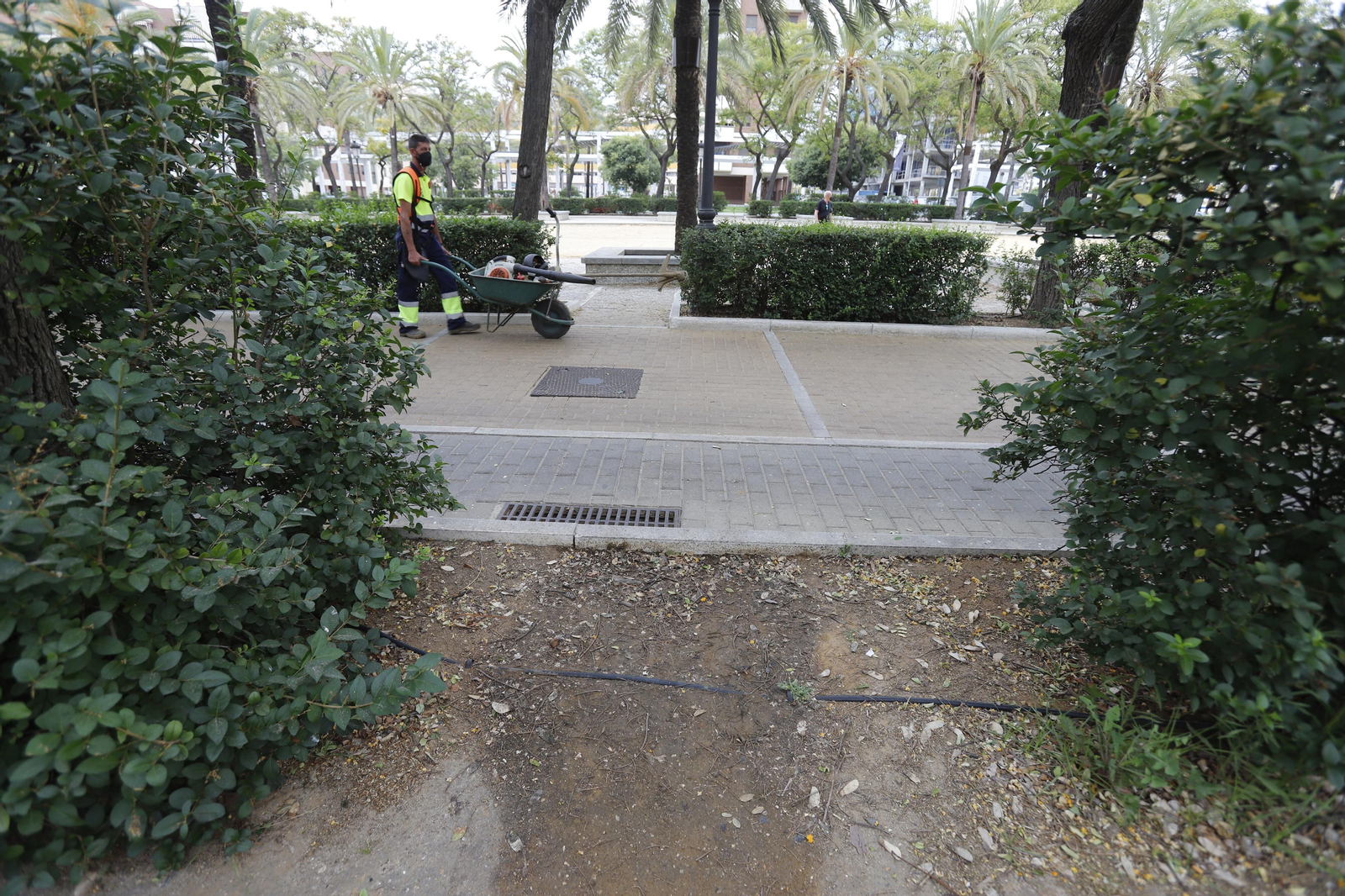 Imágenes del deterioro en la Avenida de Andalucía