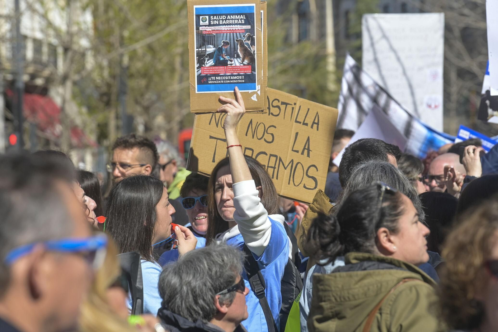 Las mejores imágenes de la manifestación de 300 veterinarios en Granada