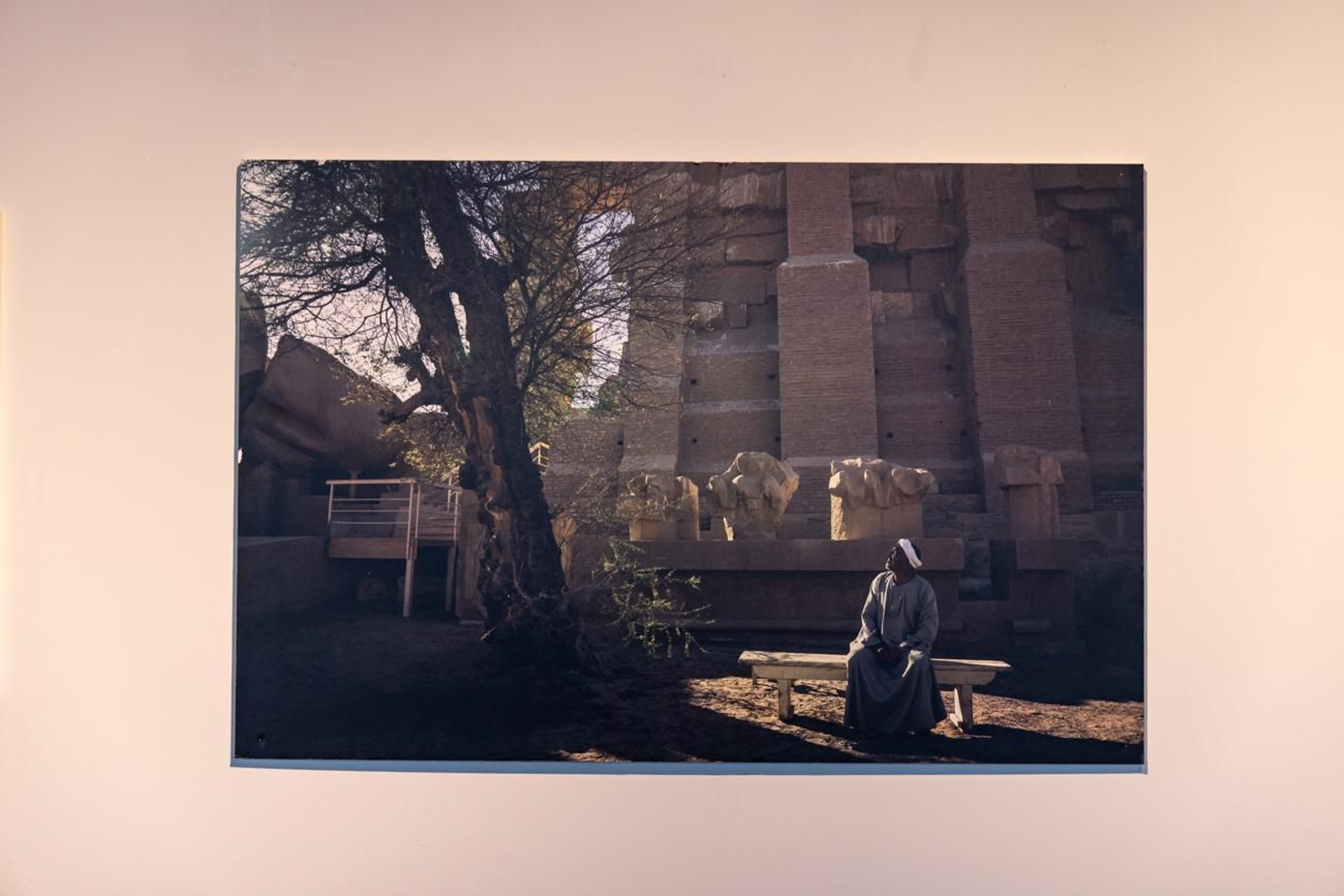 Egipto en Jaén: los bosques sagrados del país del Nilo cobran vida en imágenes