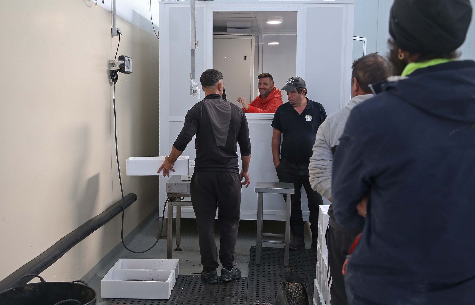 El puerto pesquero de La Línea, en imágenes